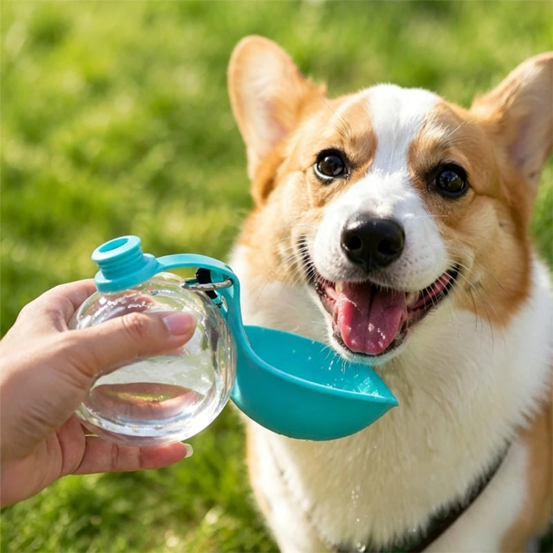 Gourde 2-en-1 pour chien — Hydratation facile en balade